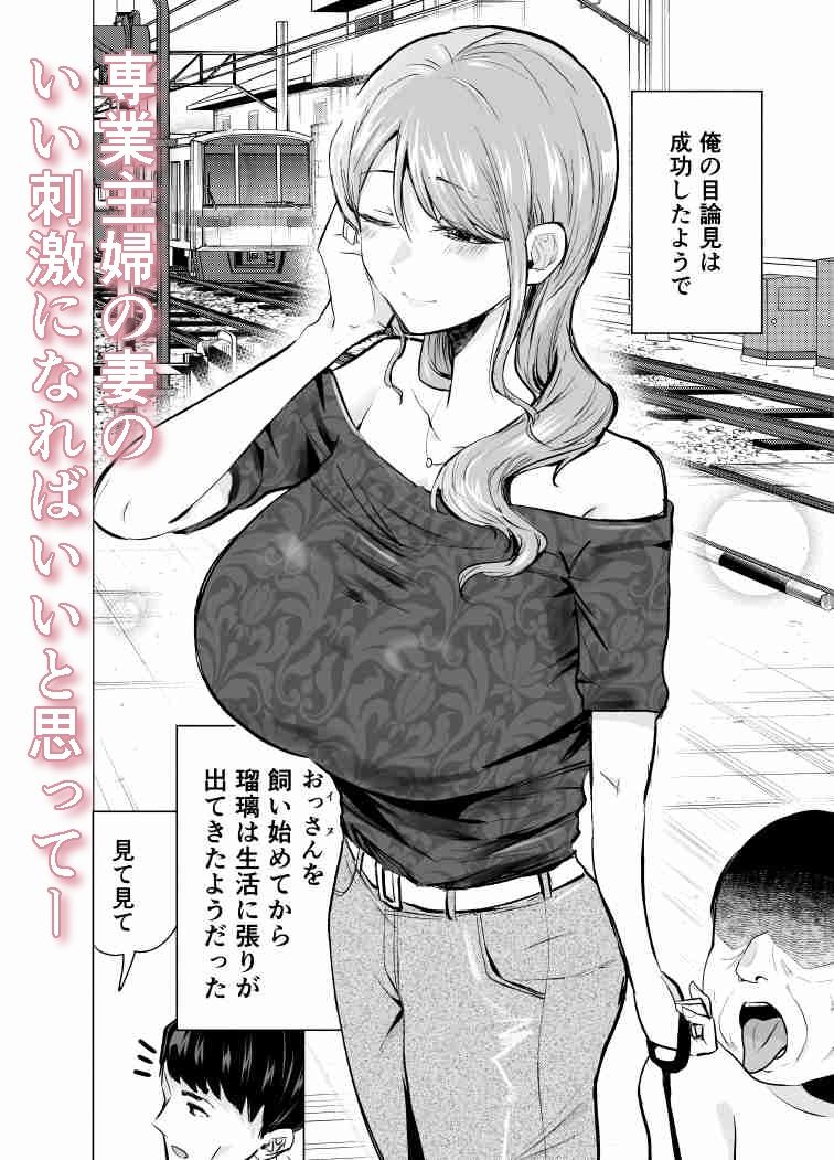 妻がおっさんに寝取られた話 [たつわの里] サンプル画像3
